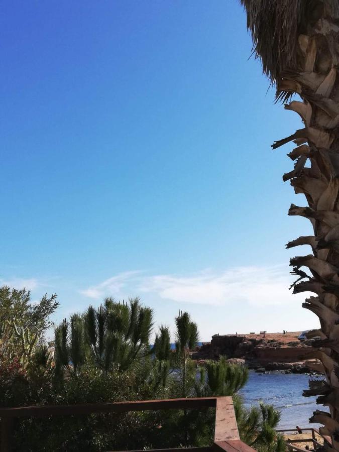 Perfect For Exploring Local Areas And More Torrevieja Dış mekan fotoğraf