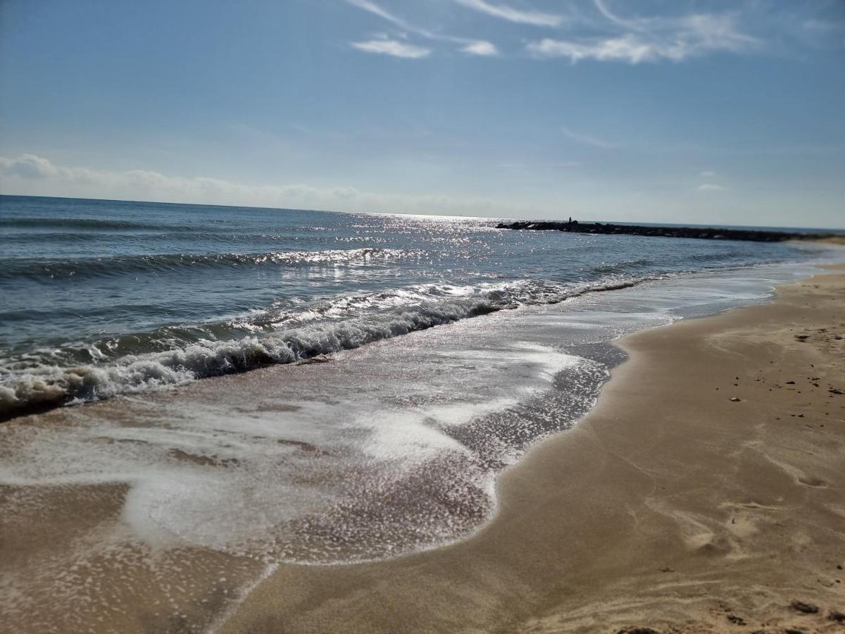 Perfect For Exploring Local Areas And More Torrevieja Dış mekan fotoğraf